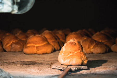 Bread of Matera